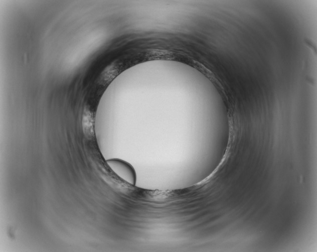 X0000101410191200807071015