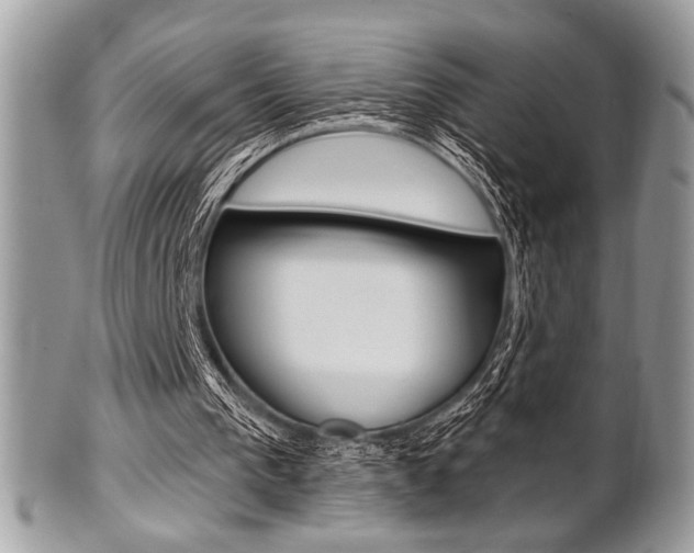 X0000101410193200807071014