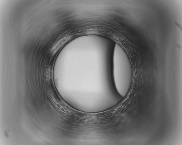 X0000101410194200807071014