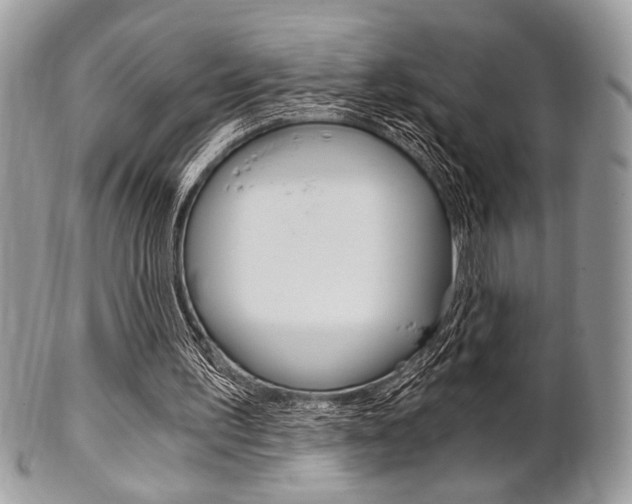 X0000101410195200807071014