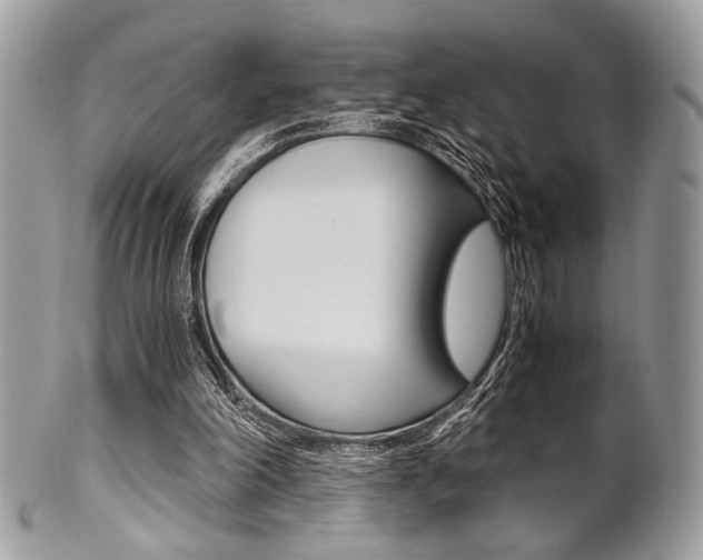 X0000101410198200807071014