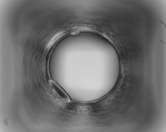 X0000101410199200807071014