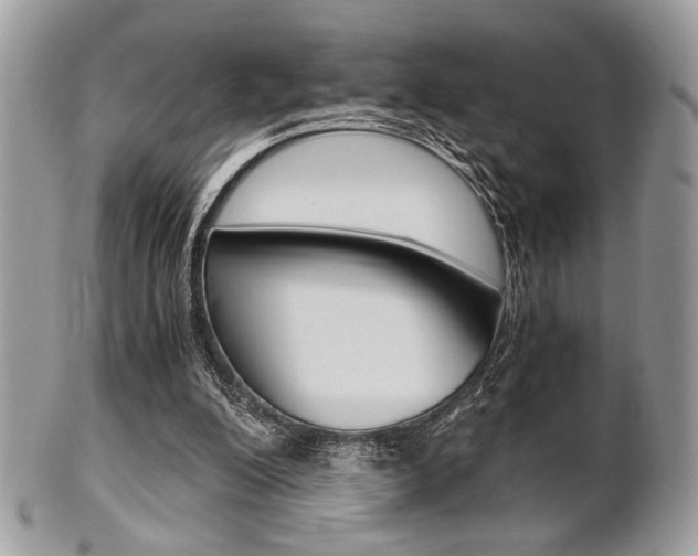 X0000101410200200807071014