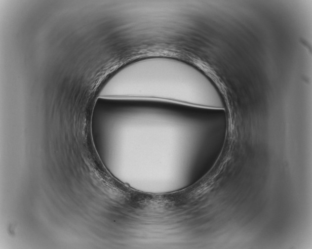 X0000101410201200807071014