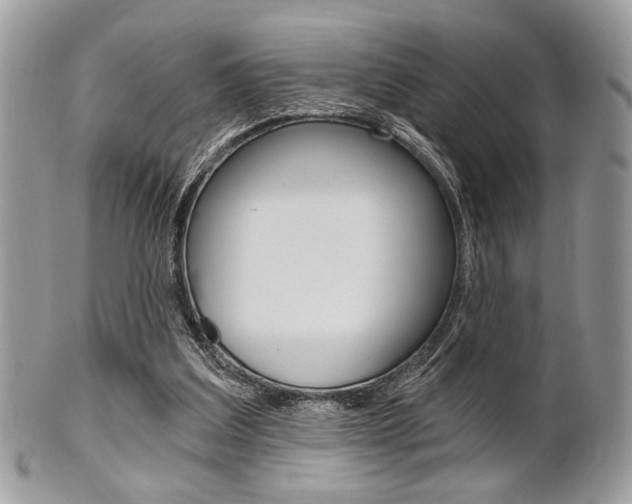 X0000101410203200807071014