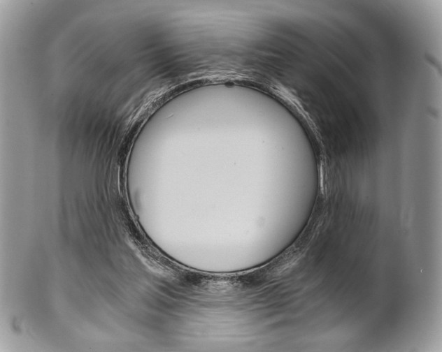 X0000101410205200807071014