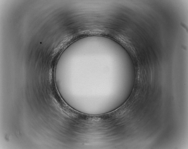 X0000101410206200807071014