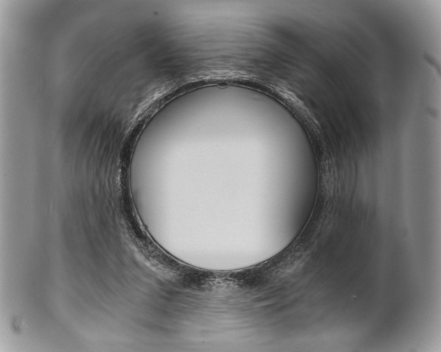 X0000101410207200807071014