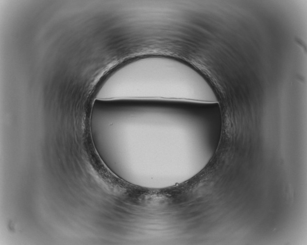 X0000101410208200807071014
