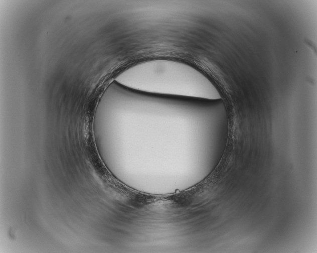 X0000101410210200807071014