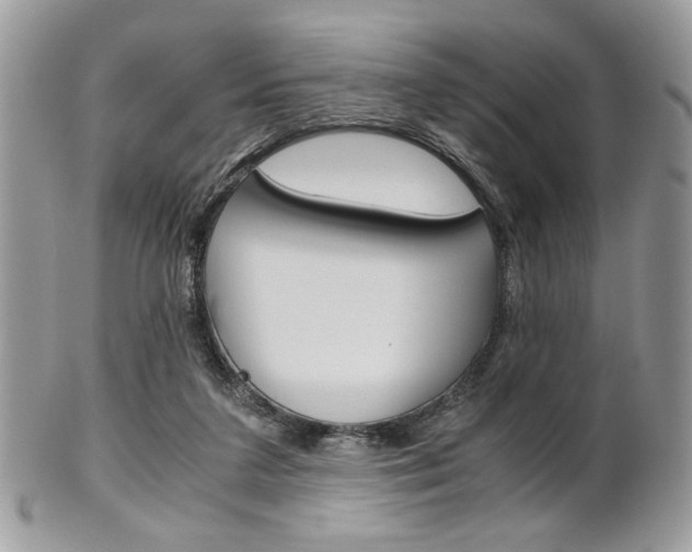 X0000101410211200807071014