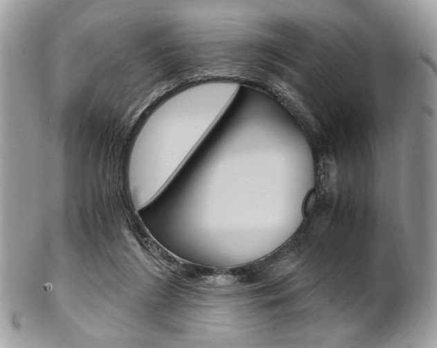 X0000101410212200807071014