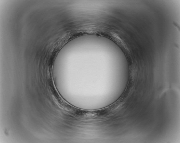 X0000101410213200807071014
