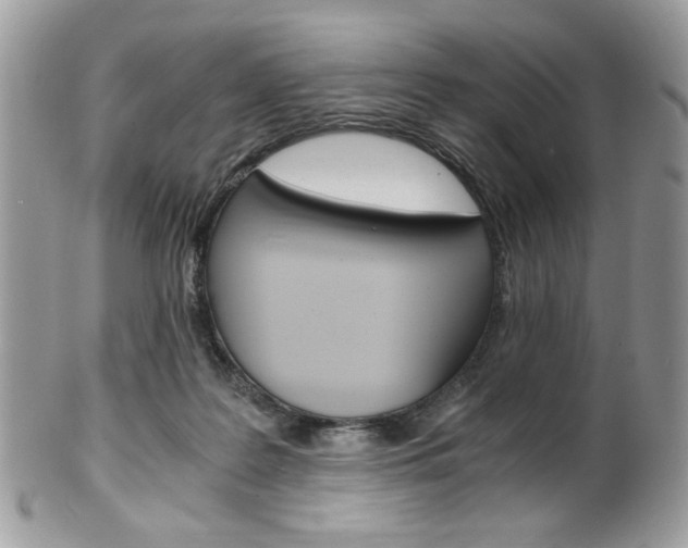 X0000101410219200807071014