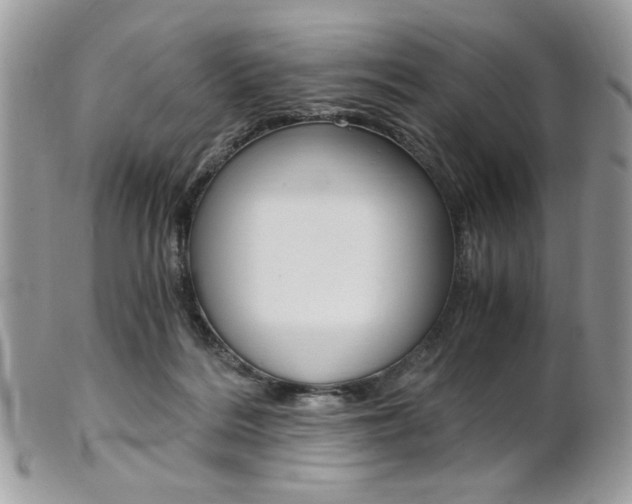 X0000101410220200807071014