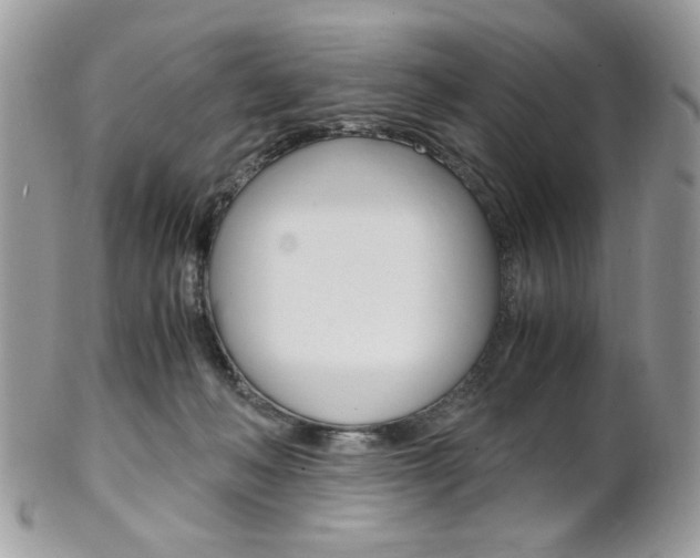 X0000101410222200807071014