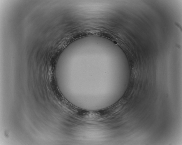 X0000101410223200807071014