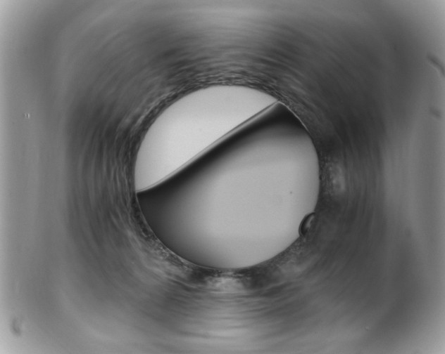 X0000101410224200807071014