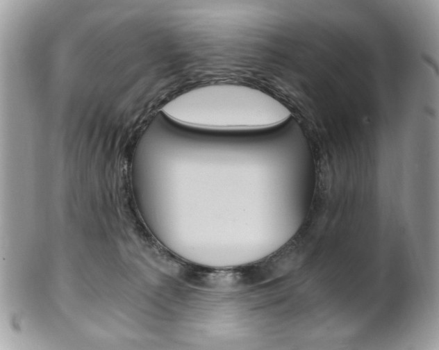 X0000101410225200807071014