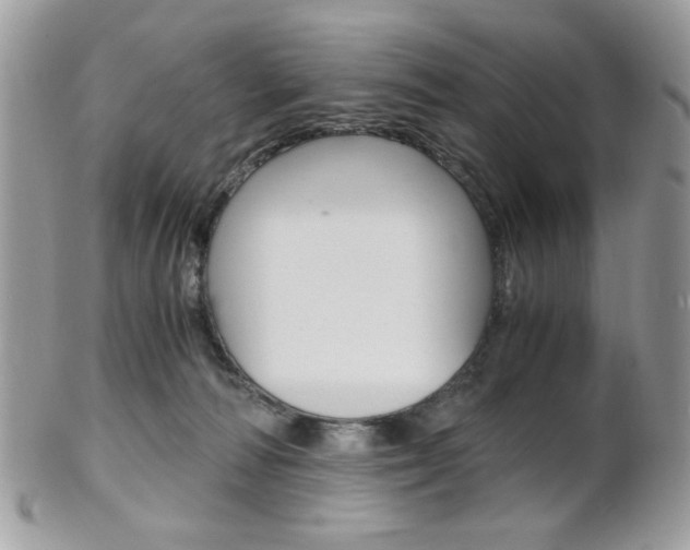 X0000101410226200807071014