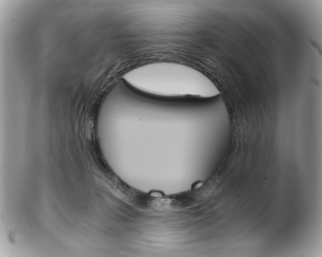 X0000101410227200807071014