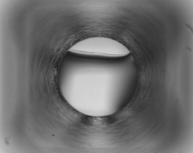 X0000101410229200807071014