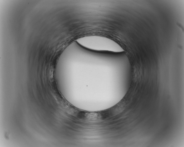 X0000101410230200807071014