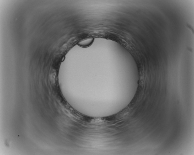 X0000101410231200807071014