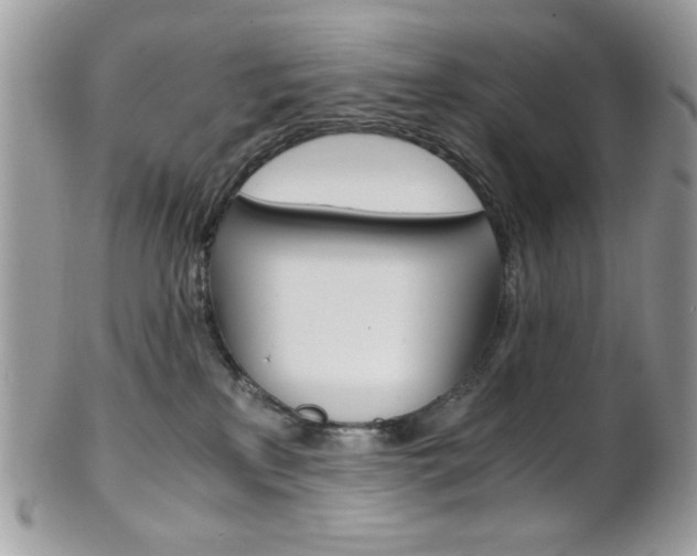 X0000101410233200807071014