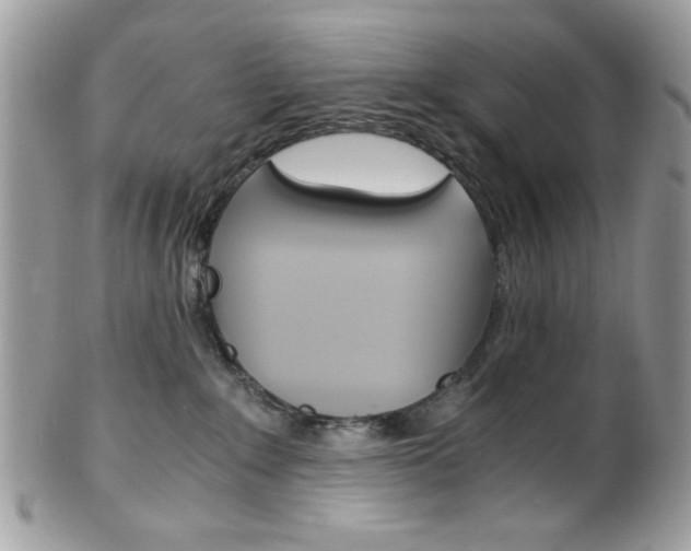 X0000101410235200807071014