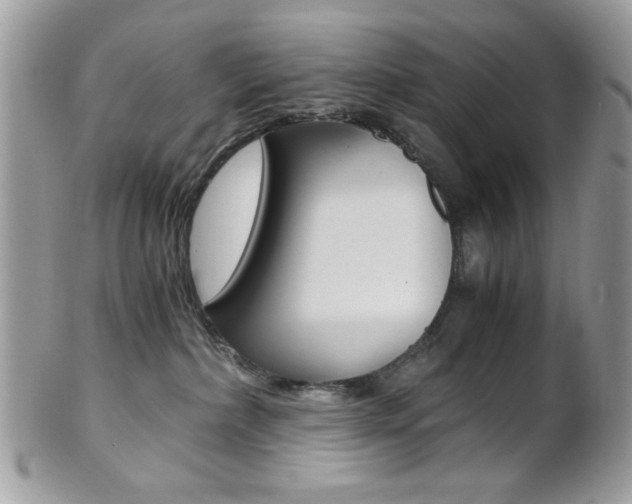 X0000101410236200807071014