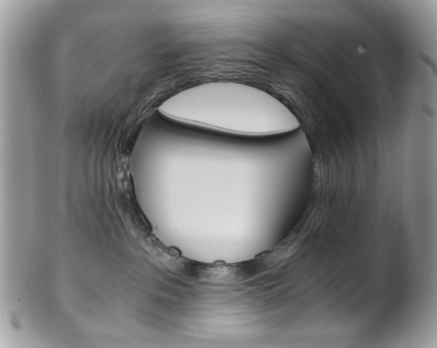 X0000101410237200807071014