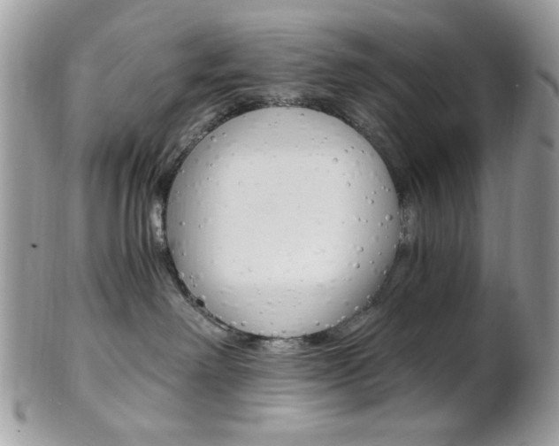 X0000101410238200807071014