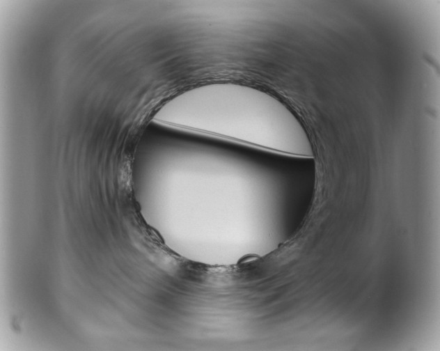 X0000101410240200807071014