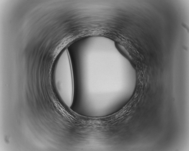 X0000101410242200807071013