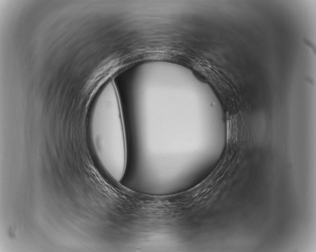 X0000101410243200807071013