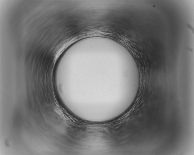 X0000101410244200807071013