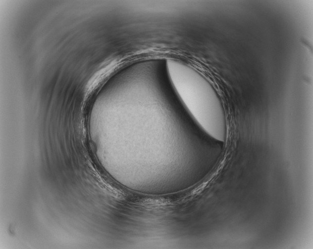 X0000101410245200807071013