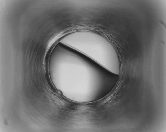 X0000101410246200807071013