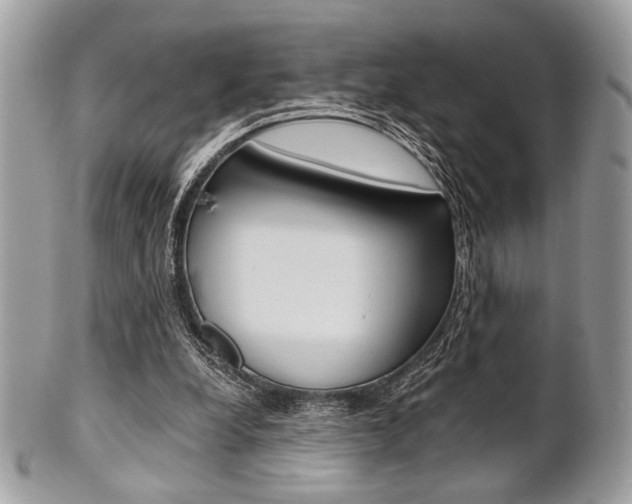 X0000101410248200807071013
