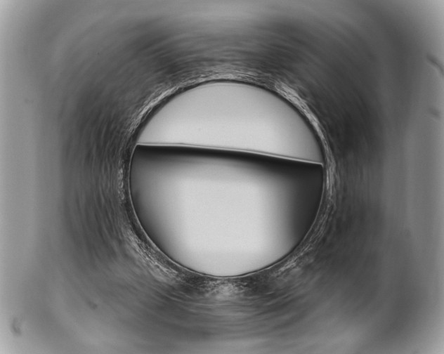X0000101410249200807071013