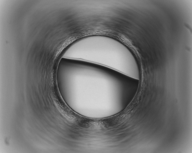 X0000101410250200807071013