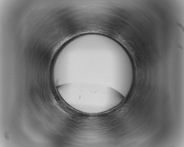X0000101410252200807071013