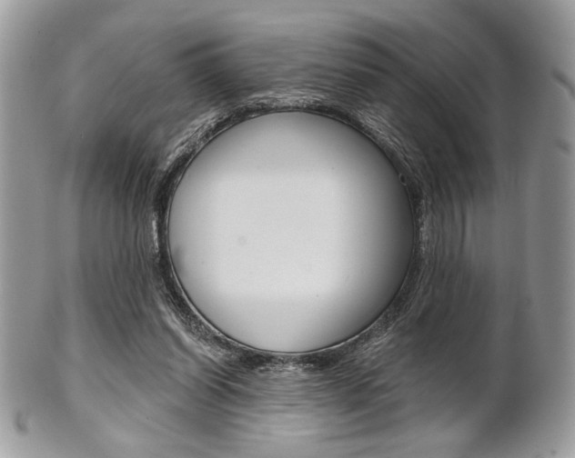 X0000101410254200807071013