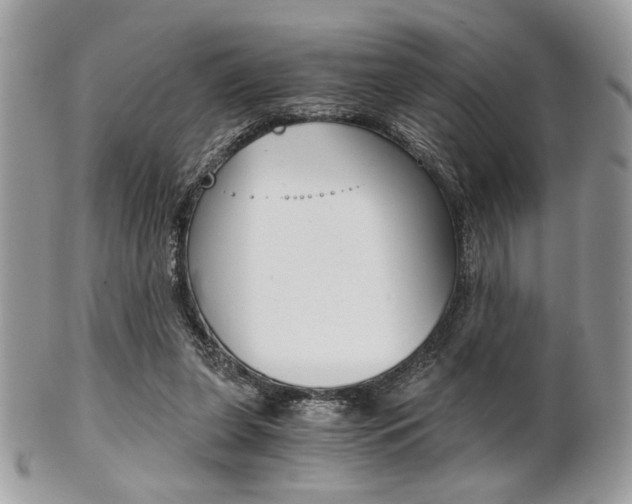 X0000101410255200807071013