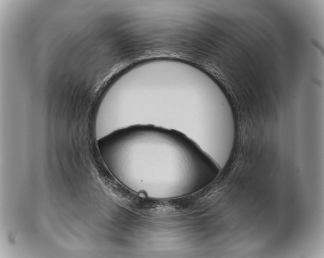 X0000101410256200807071013