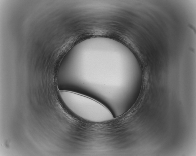 X0000101410257200807071013