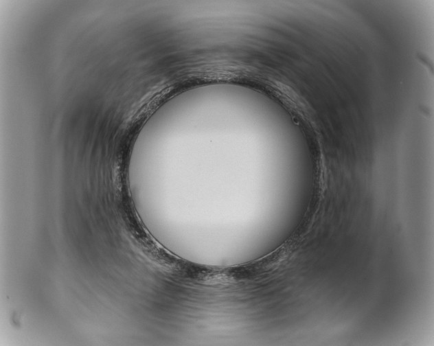 X0000101410258200807071013