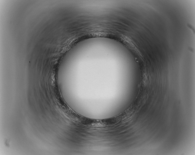 X0000101410259200807071013
