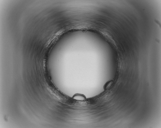 X0000101410260200807071013